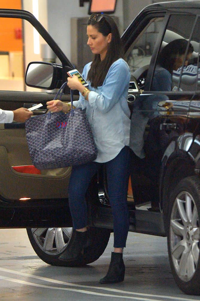 Olivia Munn - Goyard Saint Louis Tote