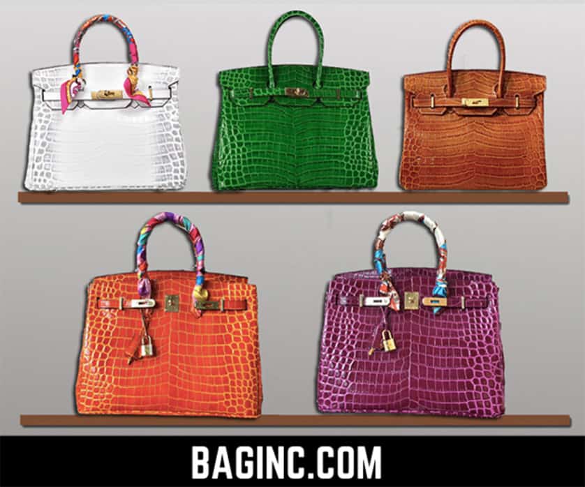 4 Hermés Birkin-Inspired Handbags By Ainifeel: Crocodile, Ostrich and More  - THE BALLER ON A BUDGET - An Affordable Fashion, Beauty & Lifestyle Blog