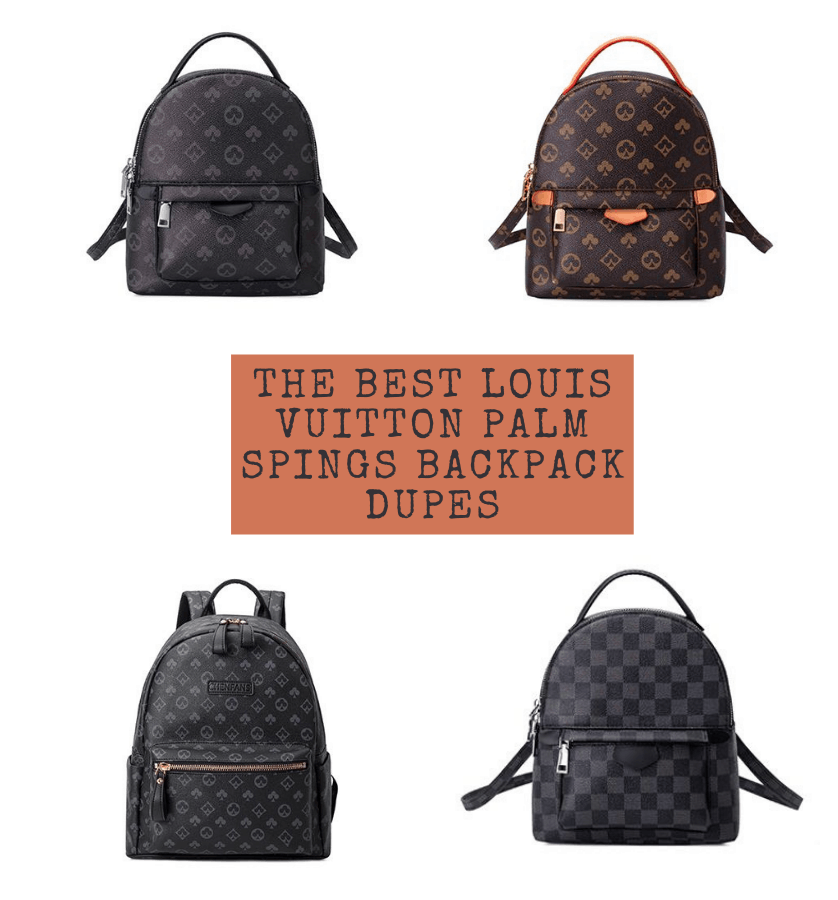 The Best Louis Vuitton Palm Spings Dupes