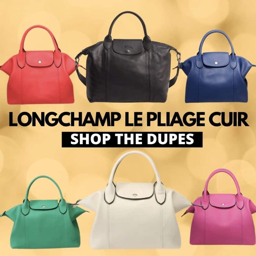 $35 longchamp mini le pliage dupe from taobao👜🫢