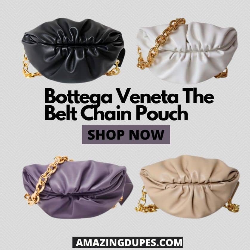 Bottega Veneta The Pouch Dupes