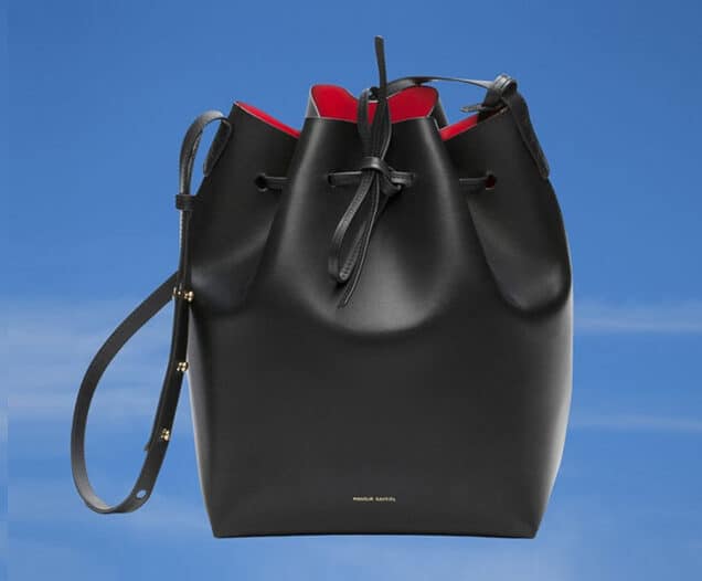 Mansur Gavriel Bucket Bag Dupes - Amazing Dupes