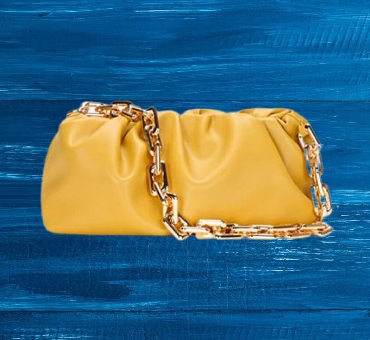 Designer Inspired Pouch Clutch