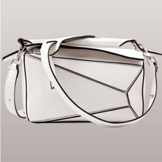 loewe inspired bag