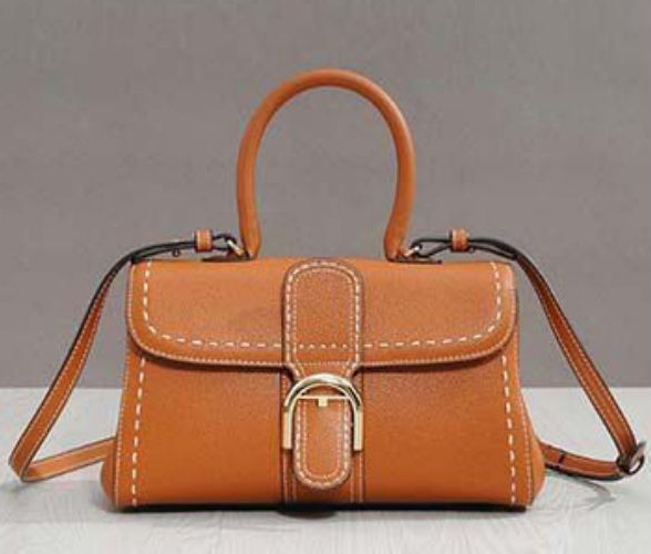 Brown Delvaux Brillant East West Bag