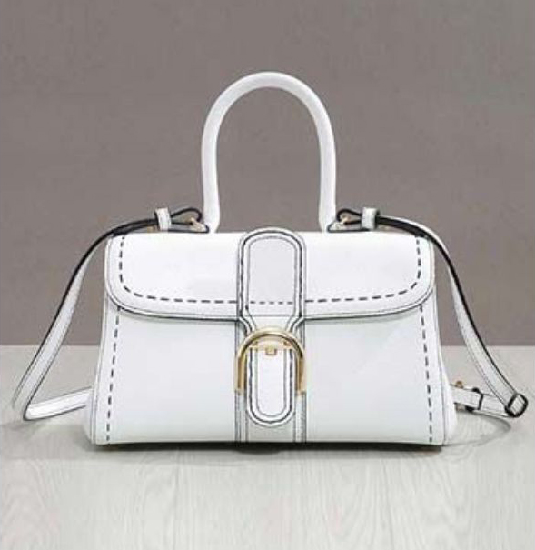 Delvaux Brillant Inspired Handbag