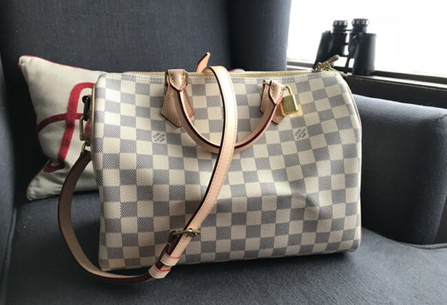 LV Speedy Damier Azur