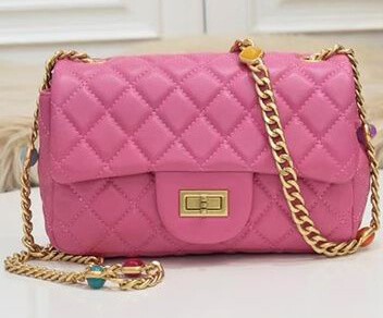 Chanel 2.55 Alternative Bag