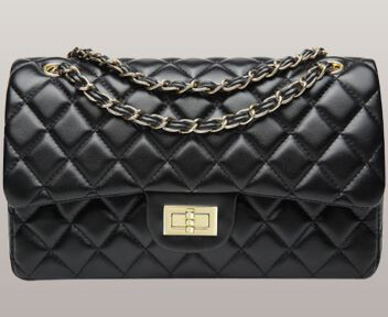 Similar Chanel Bag