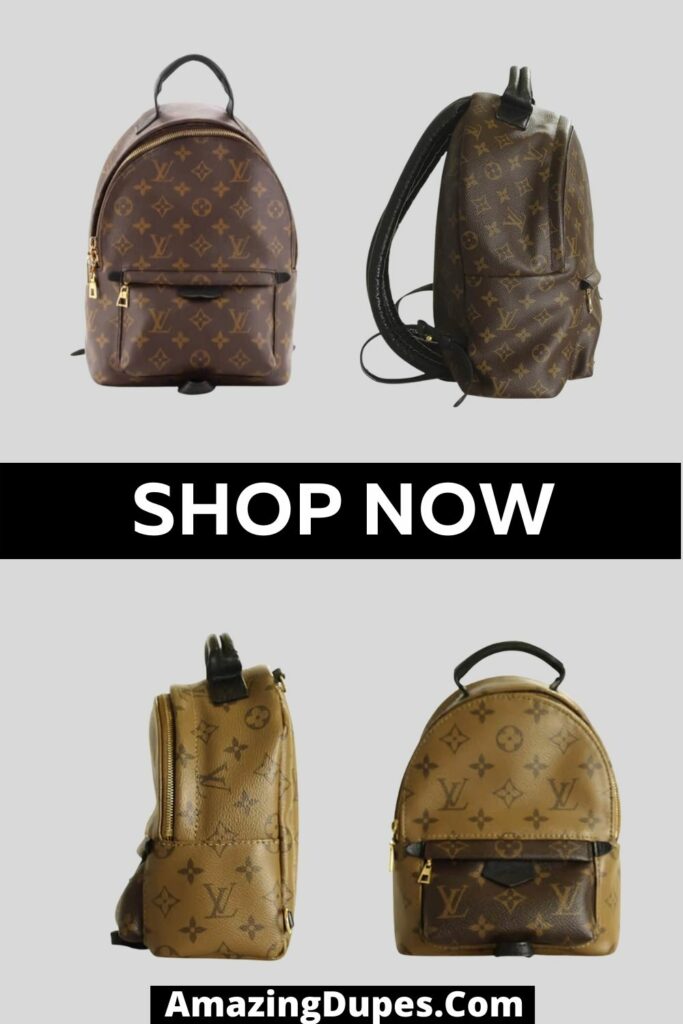 dhgate louis vuitton palm springs mini backpack｜TikTok Search