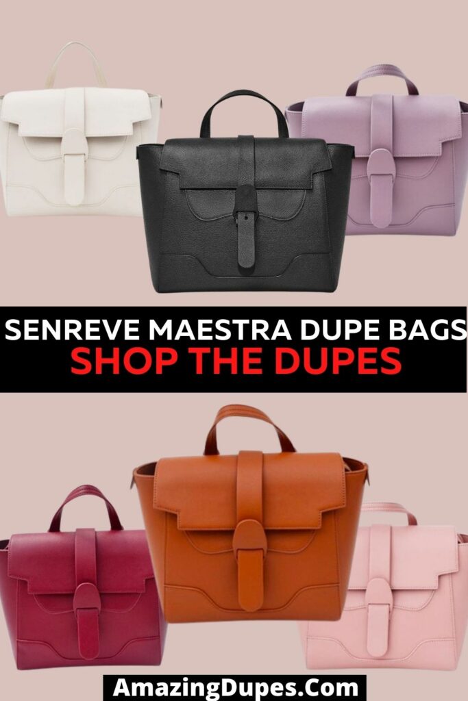 The Best senreve maestra bag alternative on Baginc