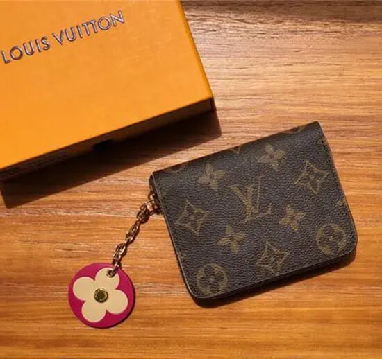 Unboxing Louis Vuitton Wallet From DHGate For Less Than 20$! 