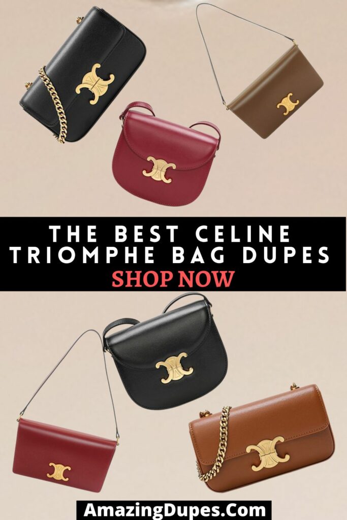 The Best Celine Triomphe Bags On Baginc 