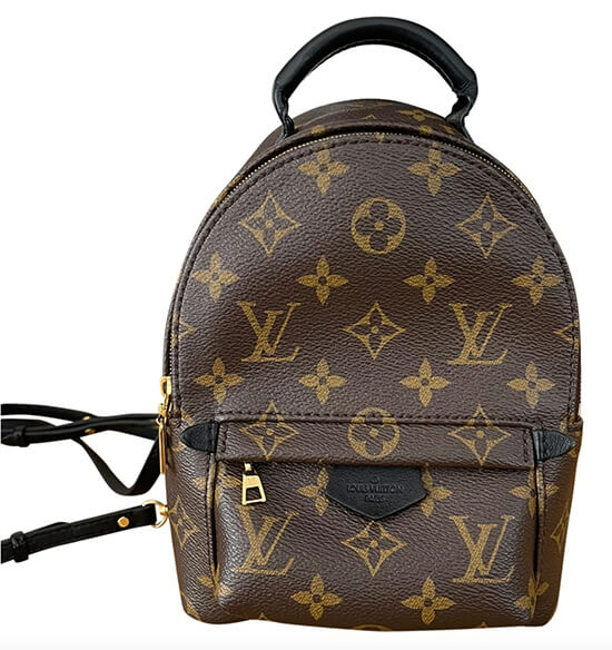 Louis Vuitton Palm Springs Mini Dupe