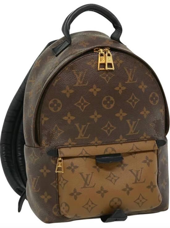 Louis Vuitton Palm Springs Mini DHGATE