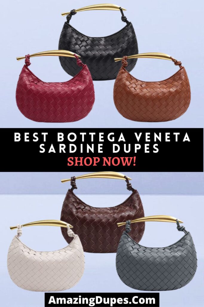 The Best Dupe Bottega Veneta Bags On Baginc 