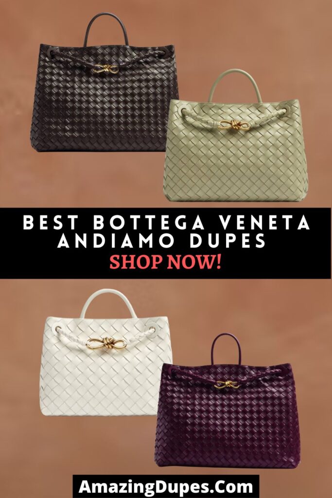 The Best Bottega Veneta Dupes and Similar Bags on Baginc