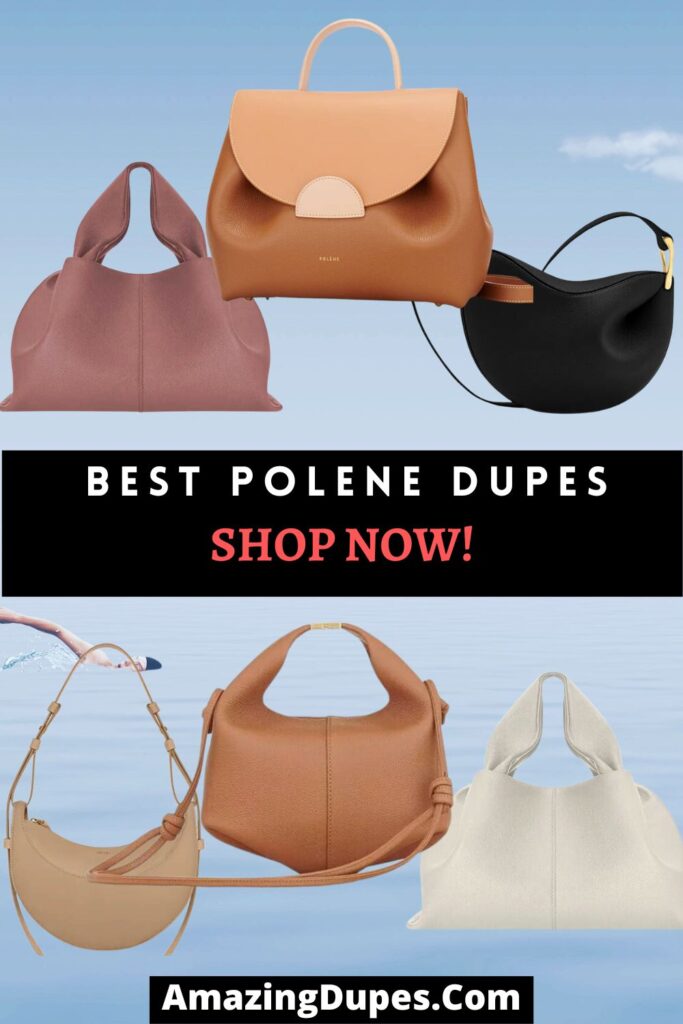 The Best Polene Bag Dupes On DHGtae