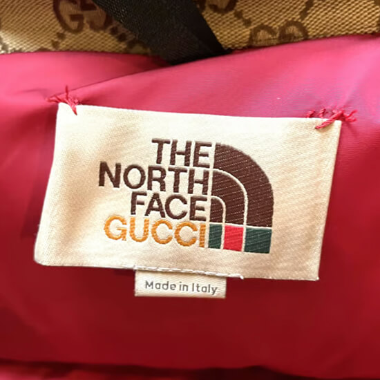 TNF X GUCCI DHGATE